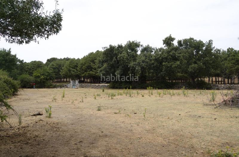 Foto 05d1219b-fd15-4e19-80d7-b071dc098460. Terreny residencial a Centro Moralzarzal