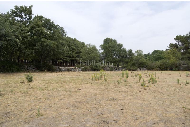 Foto 1d53a645-48b7-4346-83c0-b75642117a30. Terreny residencial a Centro Moralzarzal