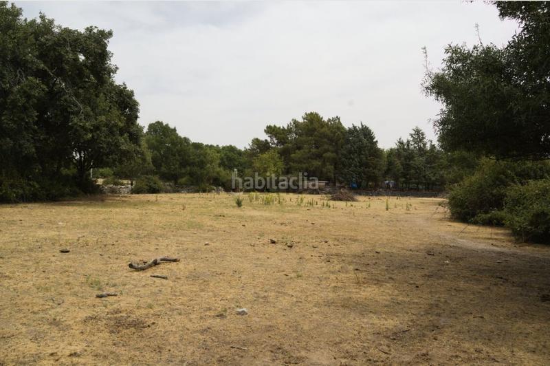 Foto 51e8f7c6-296d-4321-95d5-fe4d428255f0. Terreny residencial a Centro Moralzarzal