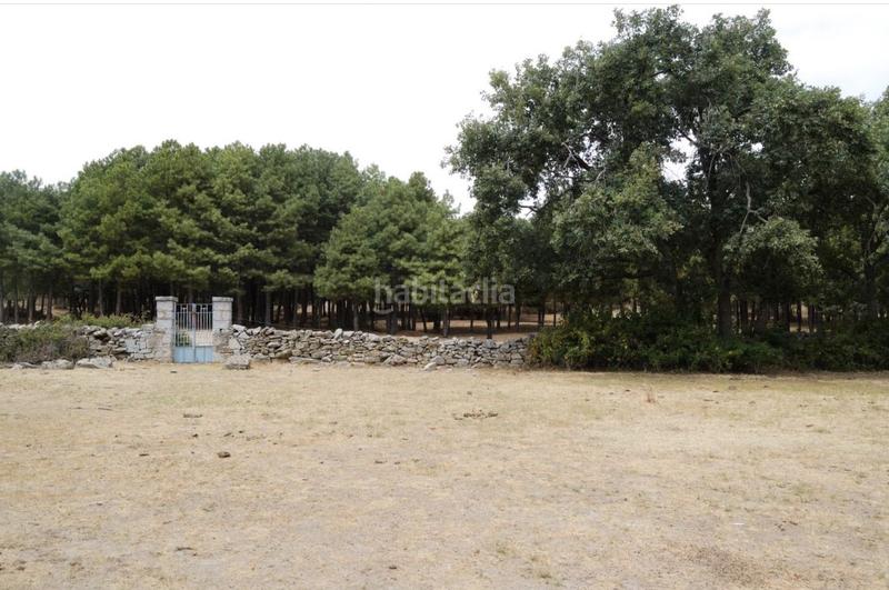 Foto fae15c35-9f13-4248-b252-99fc8183560d. Terreny residencial a Centro Moralzarzal