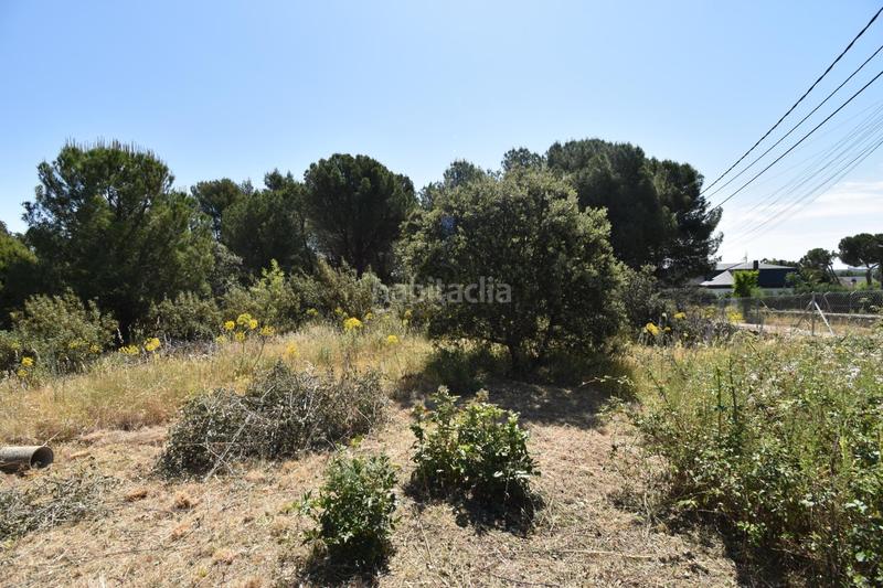 Foto 21fc0a87-8d16-4fb8-984c-b3d19f02938a. Residential plot in Las Zorreras-Monte Encinar Escorial (El)