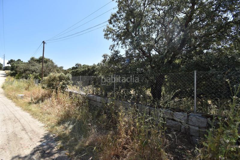 Foto 400d5a44-518e-4249-b7cc-041d00f31327. Residential plot in Las Zorreras-Monte Encinar Escorial (El)