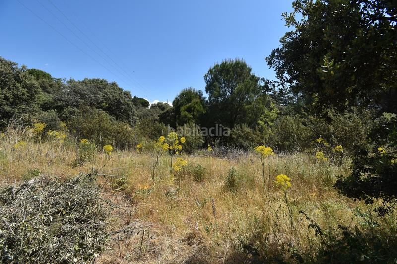 Foto 5d7dc6a0-05a1-4579-8d43-36842f3b9b90. Residential plot in Las Zorreras-Monte Encinar Escorial (El)