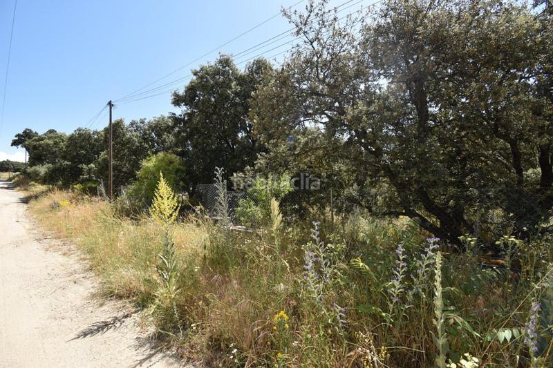 Foto f2d7ac02-40e0-43eb-a0ed-94698a724818. Residential plot in Las Zorreras-Monte Encinar Escorial (El)