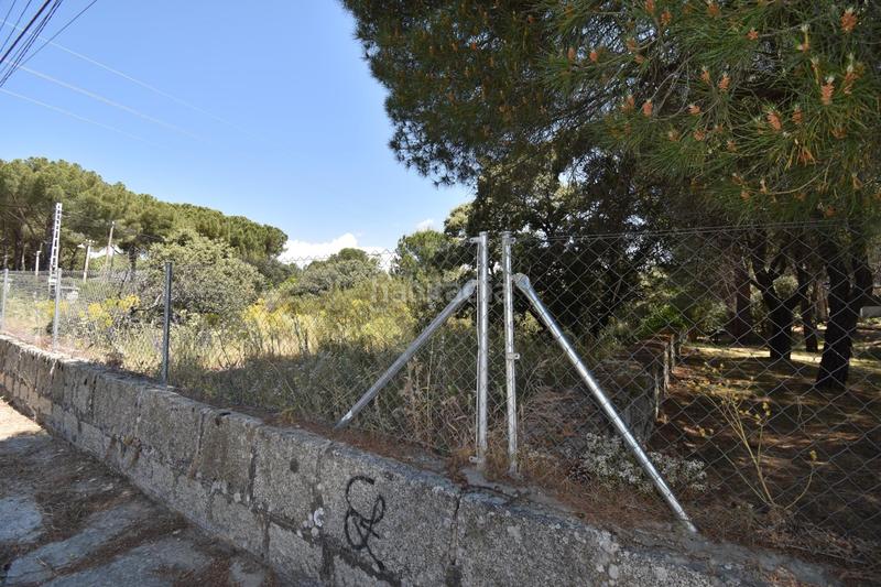 Foto f5c12948-4a46-4161-8951-634e8b0bf741. Residential plot in Las Zorreras-Monte Encinar Escorial (El)