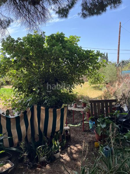 Foto ba0de75f-0aaa-407f-9f76-7da282030837. Finca rústica a El Juncal - Vallealto Puerto de Santa María (El)