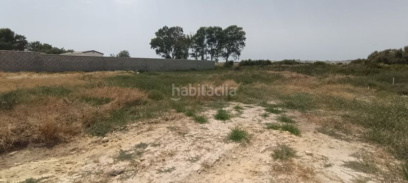 Foto cc2fd884-ff69-4625-891c-fb5d4ce8af9d. Finca rústica a Carretera de Sanlúcar - Sudamérica Puerto de Santa María (El)