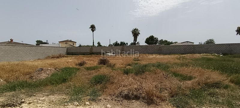 Foto d742ee1d-6fc9-4193-9435-2f6596fa5e34. Finca rústica a Carretera de Sanlúcar - Sudamérica Puerto de Santa María (El)
