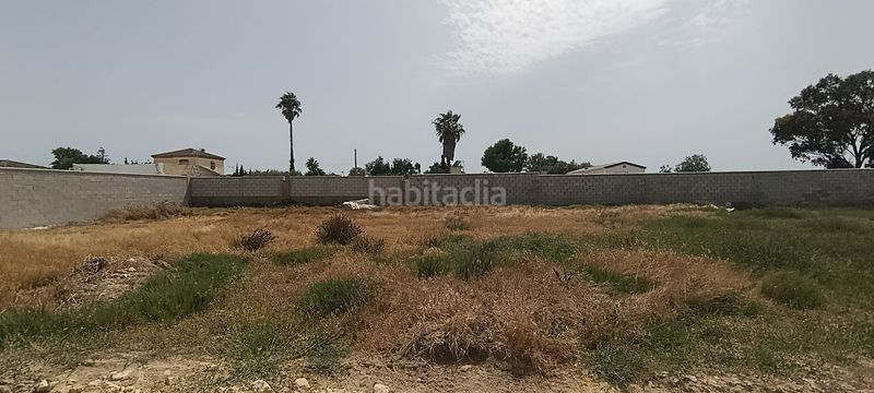 Foto eaa4c8ca-5d37-478b-a81a-3ad599e415b6. Finca rústica a Carretera de Sanlúcar - Sudamérica Puerto de Santa María (El)