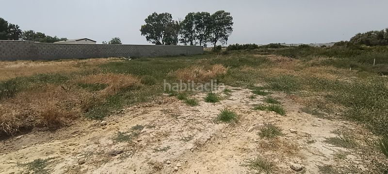 Foto f47447f8-0506-4594-b135-32cfe75ee884. Finca rústica a Carretera de Sanlúcar - Sudamérica Puerto de Santa María (El)