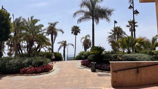 Local Comercial en Avenida espa�a 258. Local comercial en primera l�nea de playa � paseo mar�timo de es
