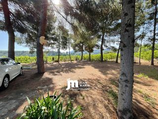 Mas à Cieza