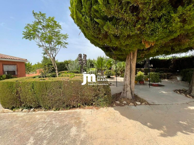 Foto 4369c079-0f77-4605-ac81-f12d07487371. Finca rústica a Cieza