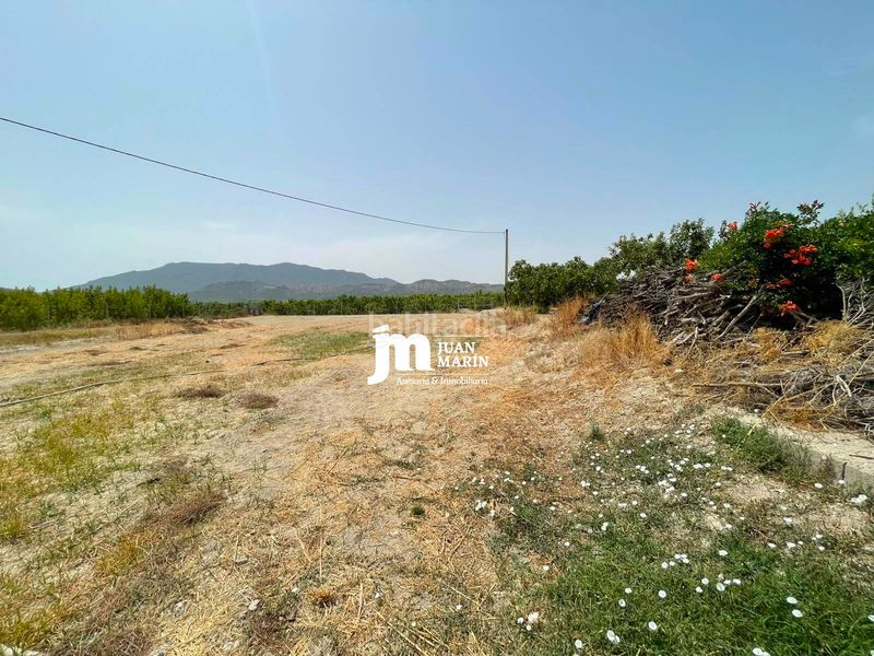Foto d47d8fe8-681b-4b24-a8f4-76daff5830ca. Finca rústica a Cieza
