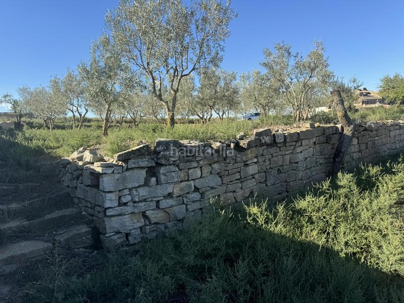 Foto 4693ceb4-d8bb-45c1-a40e-ab8c9904fd32. Terreno residencial finca rústica con olivos y cabana. bellveí lleida en Sant Guim de la Plana