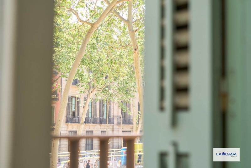 Foto 06f6ef4a-4632-41c3-a023-4003de609d86. Pis a Raval Barcelona