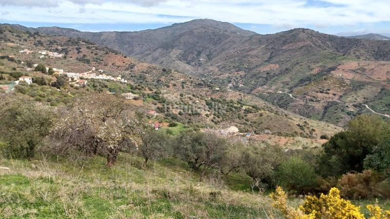 Foto 1bcdd691-fcb9-4db1-91b7-9664607edeea. Terrain résidentiel dans Olías Málaga