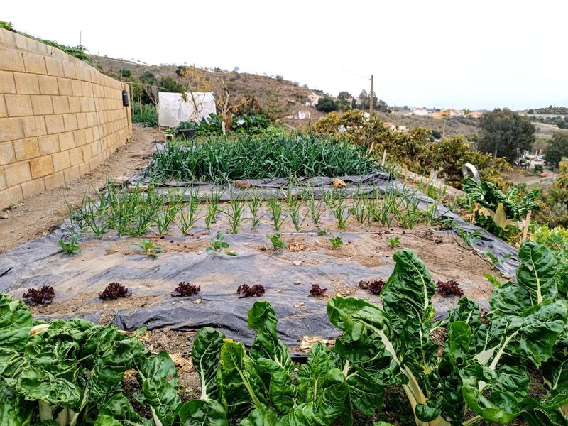 Foto 0154f257-72b6-42d2-80ce-76b092e41313. Chalet casa de campo en Camino Viejo de Málaga Vélez - Málaga