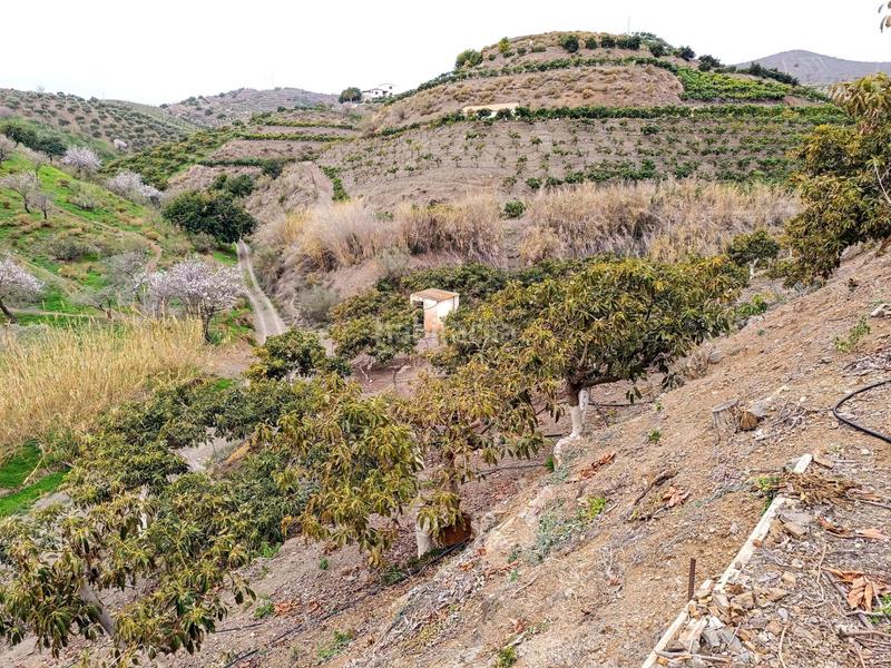 Foto 0da4ff9c-43a0-4a4e-b94e-108ab9a10624. Chalet casa de campo en Camino Viejo de Málaga Vélez - Málaga