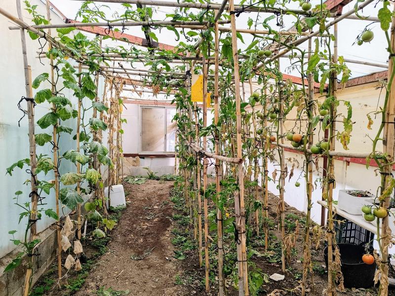 Foto 0e080685-c66e-4e05-ad90-5bed8c7bfadf. Chalet casa de campo en Camino Viejo de Málaga Vélez - Málaga