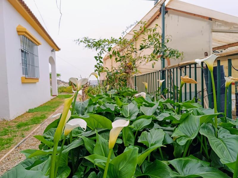 Foto 2489de63-e4e4-4fa0-9b6d-03373eb592bb. Chalet casa de campo en Camino Viejo de Málaga Vélez - Málaga