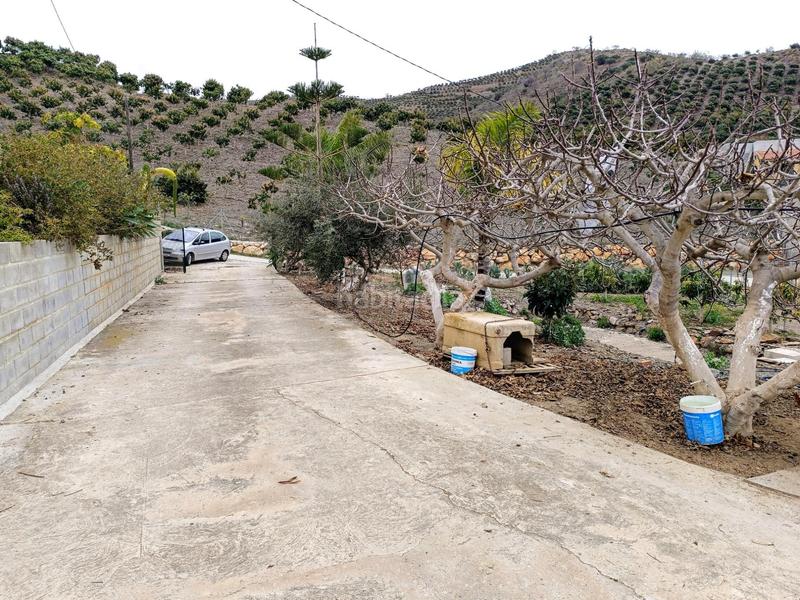 Foto 64d4c34a-3aee-4905-ab1e-6764d66686d2. Chalet casa de campo en Camino Viejo de Málaga Vélez - Málaga