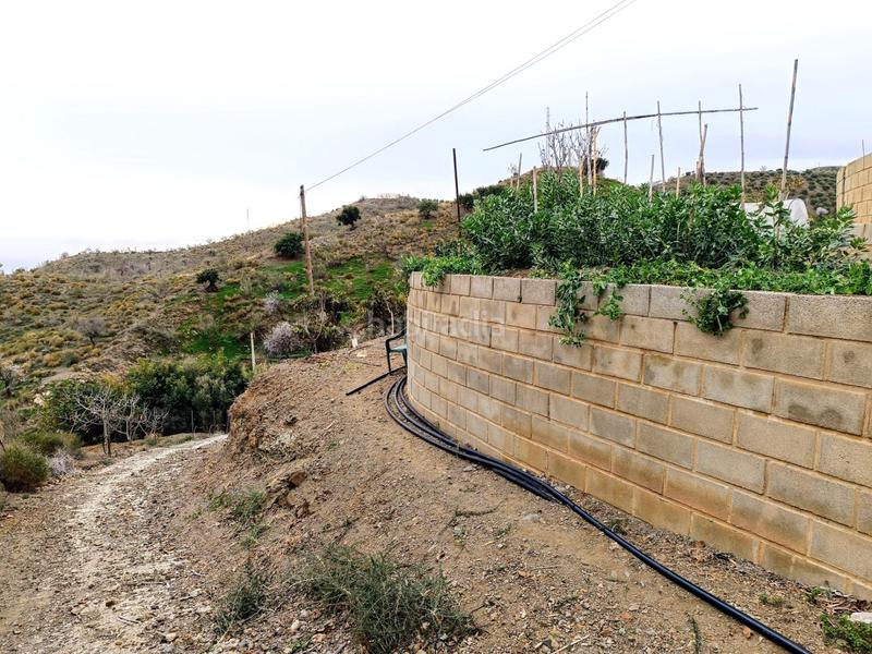 Foto 6bcf4272-1747-40a8-a187-844b3dcd298e. Chalet casa de campo en Camino Viejo de Málaga Vélez - Málaga