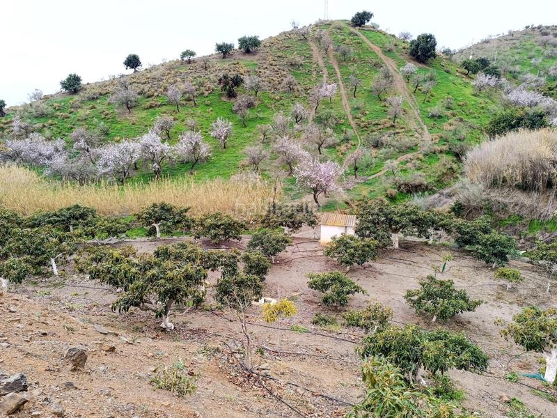 Foto 8ad49303-04b5-4a10-90ad-46e7a4b791a3. Chalet casa de campo en Camino Viejo de Málaga Vélez - Málaga