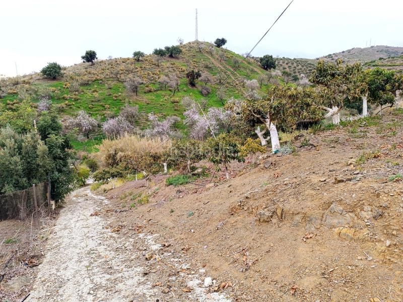 Foto e15fe2aa-b1bf-4a56-b16b-21f78001d20a. Chalet casa de campo en Camino Viejo de Málaga Vélez - Málaga