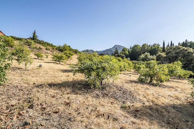 Foto 35e2e491-20a7-48e4-b44a-891e147bbbff. Chalet mit parking pool in Buenavista-Lauro Golf Alhaurín de la Torre