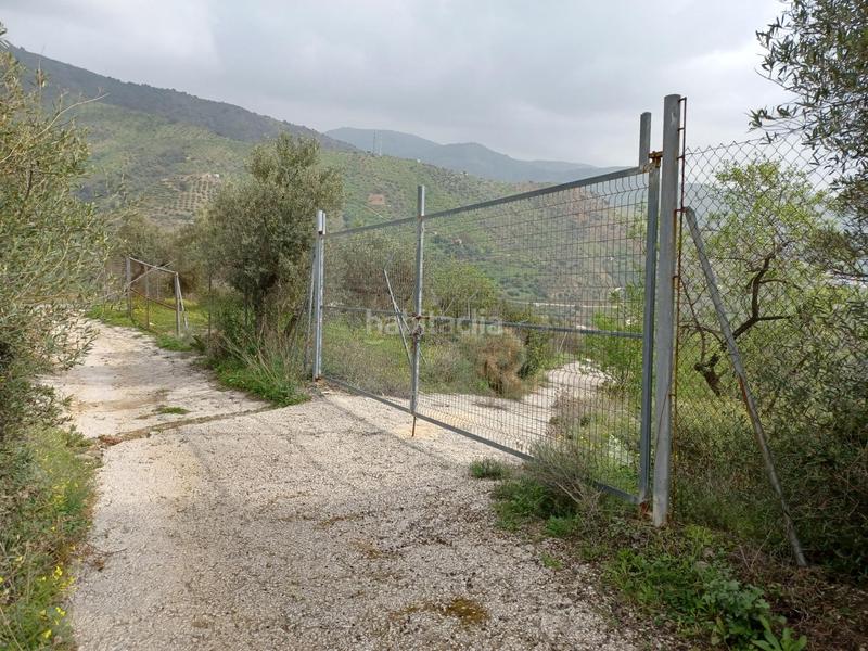Foto 6ce6390f-6b04-49e7-afa1-1e6c7b85174e. Alquiler finca rústica comprar con un alquiler un terreno en Olías. en Málaga