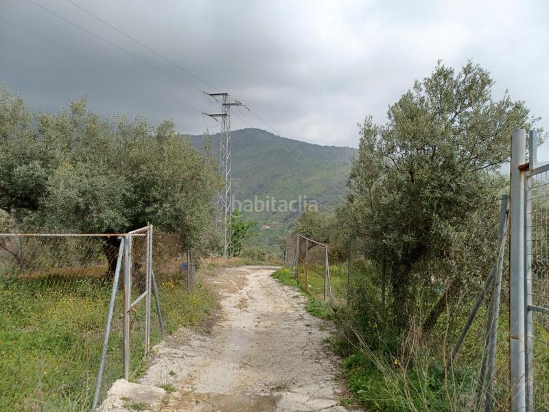 Foto c8f139af-b992-4050-ace4-e9694c83565f. Alquiler finca rústica comprar con un alquiler un terreno en Olías. en Málaga