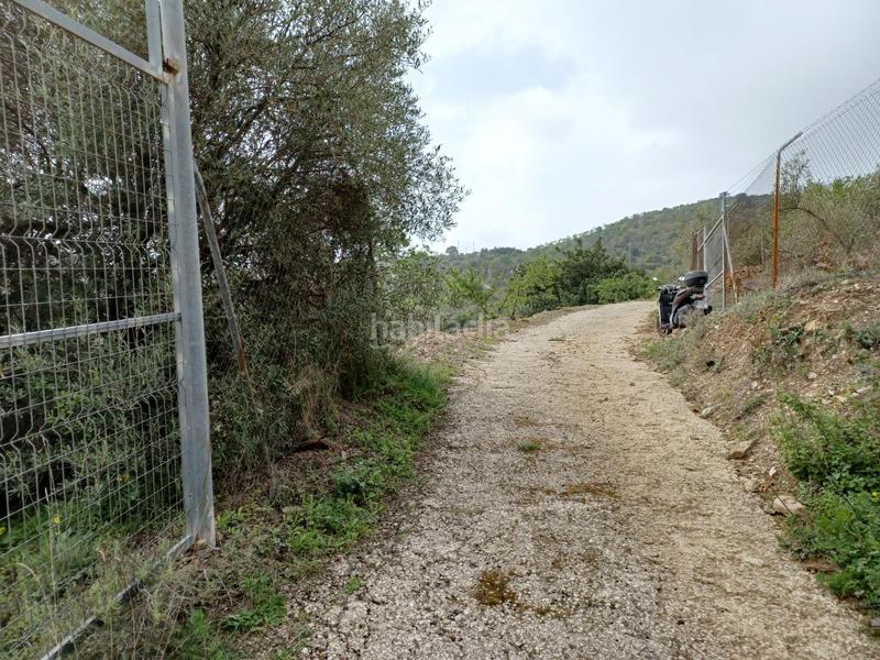 Foto e0d84cae-4bfc-460d-a837-11ddc22102d8. Alquiler finca rústica comprar con un alquiler un terreno en Olías. en Málaga