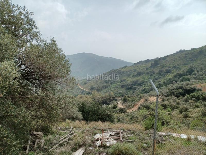 Foto b396e347-95f3-441d-a54d-d5d2ee21a5ca. Lloguer finca rústica a Olías Málaga
