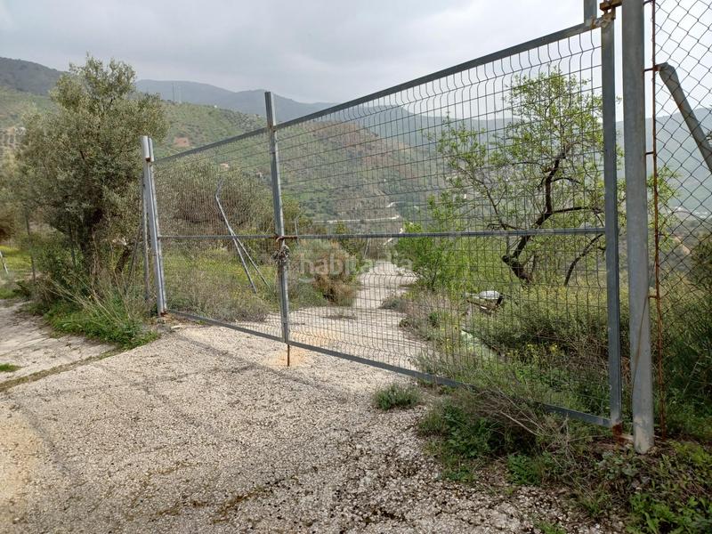 Foto 0e366086-ee2f-4cd1-8e8e-ea4b3c1db93e. Miete landgut in Olías Málaga