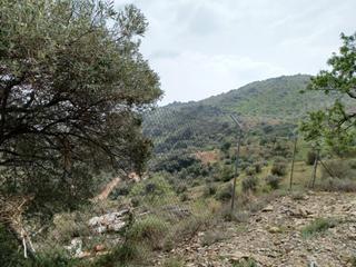 Rent Rural plot  Carretera de olías. Comprar con un alquiler un terreno en olías.