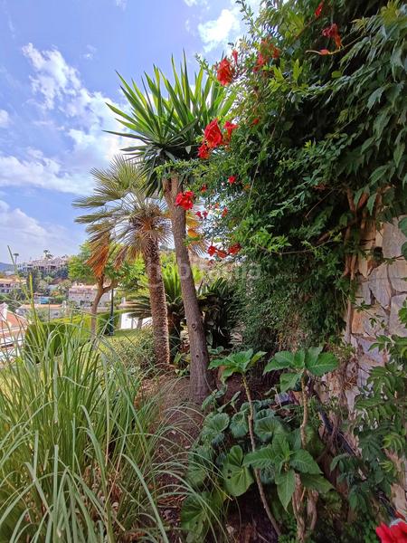 Foto 78cda415-dfd1-477c-bbb9-0395cb2c654d. Chalet avec chauffage parking piscine dans El Candado Málaga