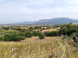 Finca rústica a Centro. Terreno con poco desnivel y vistas despejadas