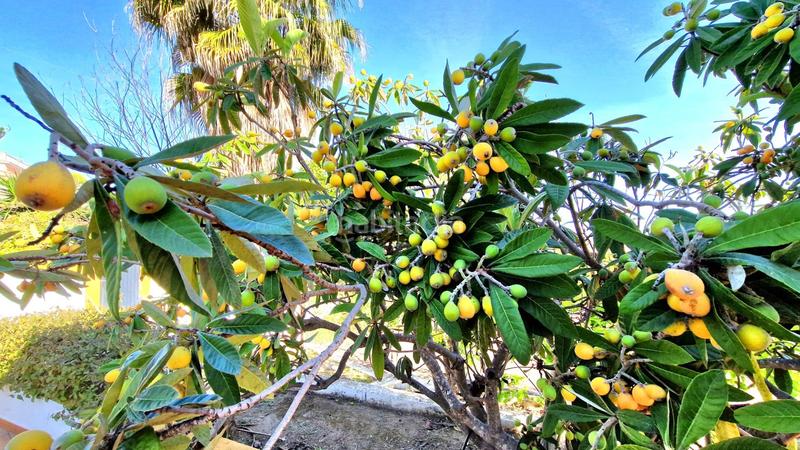 Foto 2ec3d163-9ab7-438f-9edb-c47306472c42. Chalet avec parking piscine dans El Romeral-Peñón de Zapata Alhaurín de la Torre