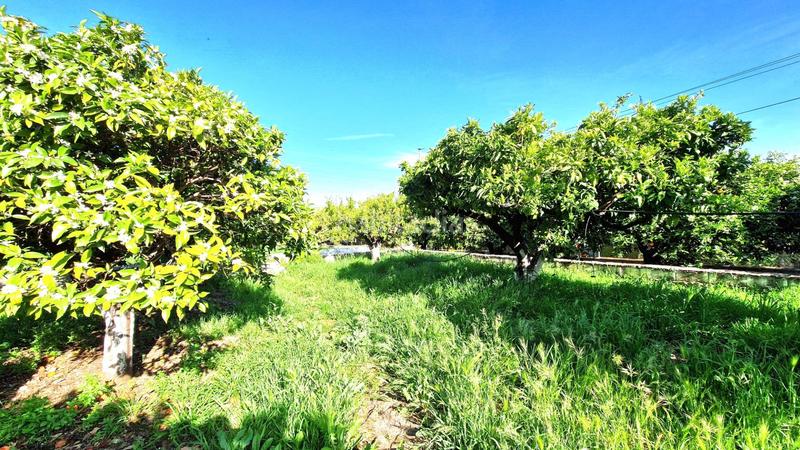 Foto d3e32fd2-8984-4980-bb4f-9d7ae3b11e8a. Chalet con parcheggio piscina in El Romeral-Peñón de Zapata Alhaurín de la Torre