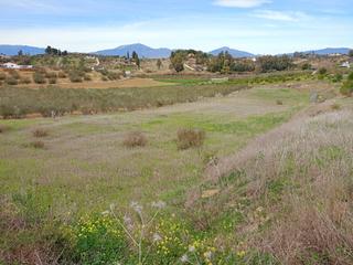 Fondo rustico  Camino javieles