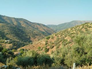 Mas à Olías. Finca en plena naturaleza