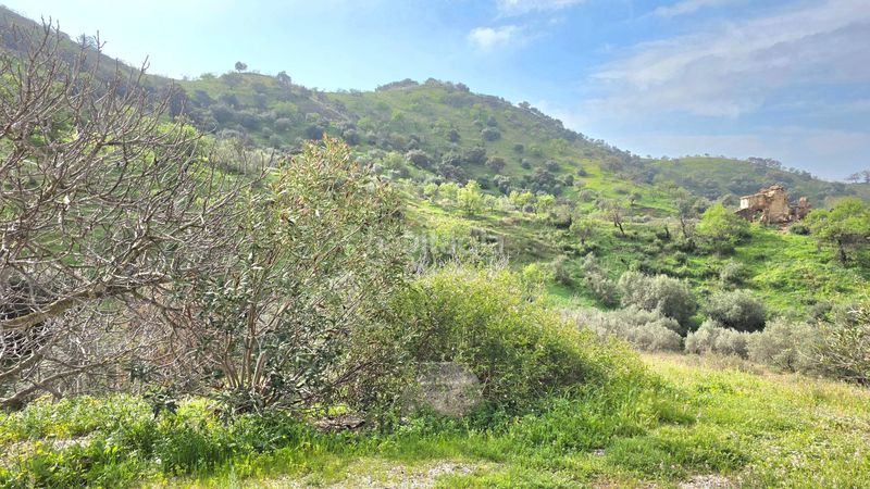 Foto 55ff3efe-e604-4ed1-80f2-b1dec3fad99b. Masía en Nueva Aljaima - Las Tres Leguas - Los Mondeños Cártama