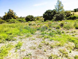 Finca rústica a Centro