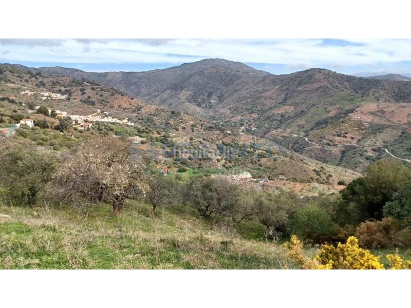 Foto 124f5503-8282-4905-926f-0675a16ead23. Terreny residencial a Olías Málaga