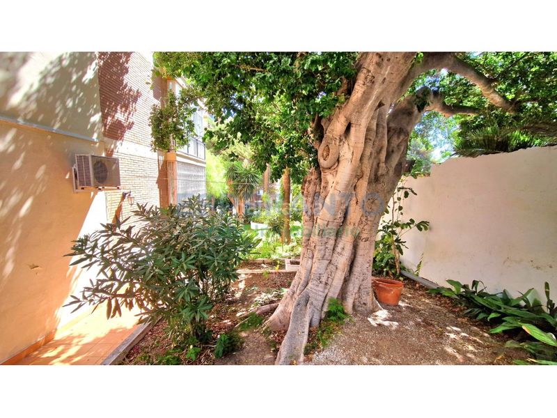 Foto d7bfd923-3c7e-4588-9ae2-e248978ea7e9. Flat with parking in Limonar Málaga