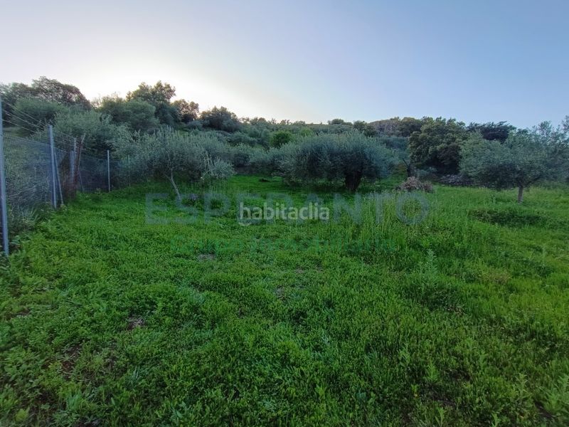 Foto 3323c3fe-0a62-4feb-bd56-b5fe3b33e78f. Masia a Coín