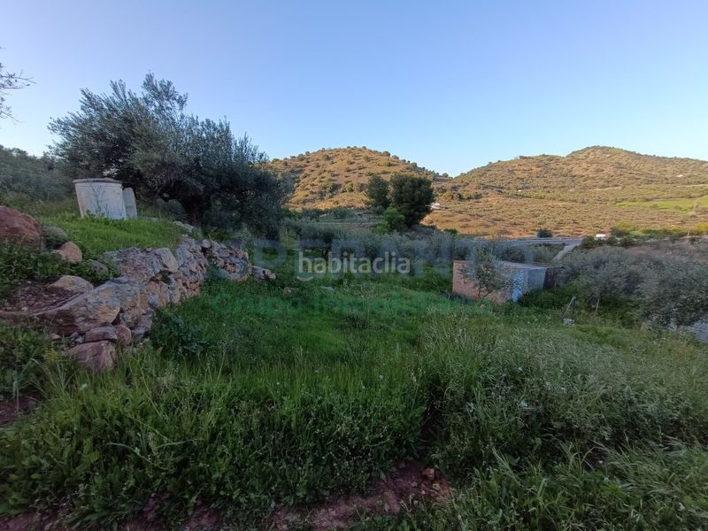 Foto 564e7c60-883b-46d1-a086-5708063e6c91. Masia a Coín