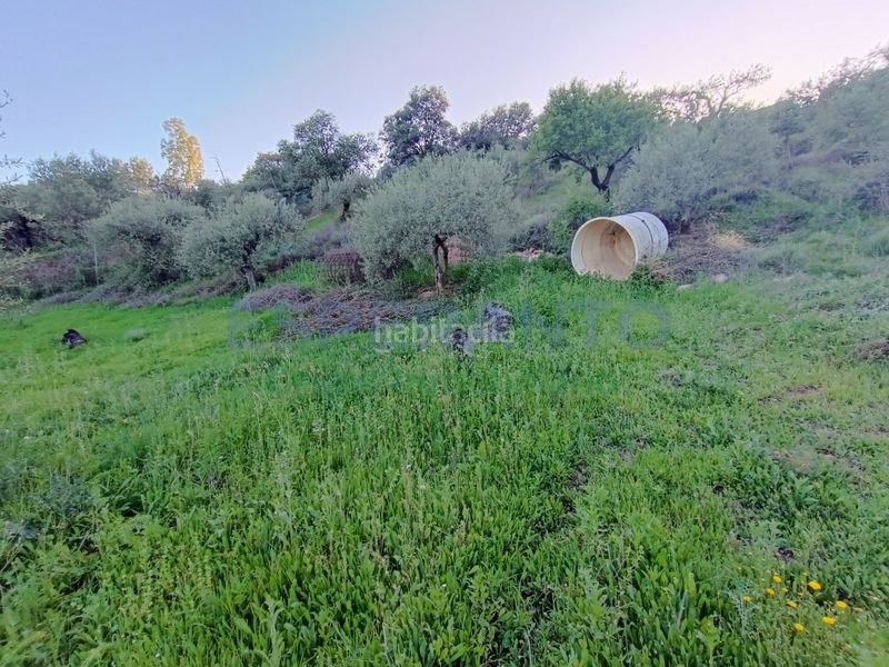 Foto 7bfb26fe-1870-4629-aeb4-c333e396fea2. Masia a Coín