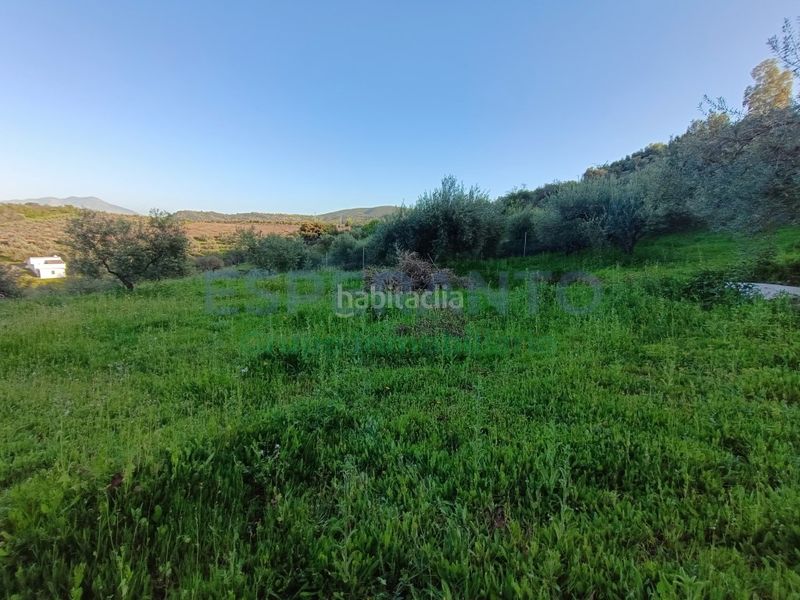 Foto 989cfce2-2438-4d38-89ff-e750fae4f1de. Masia a Coín